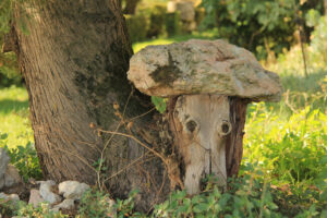 a L'Occitane landscape as old as France