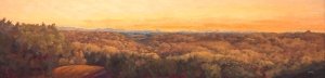 Trees and Pyrenees, sold