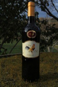 Vin du Coq