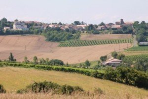 St Tomas de Conac & Chateau les Tonnells