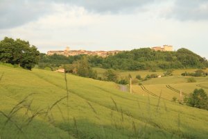 Castelnau de Montmiral