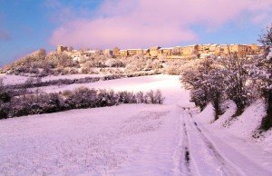 Castelnau de Montmiral