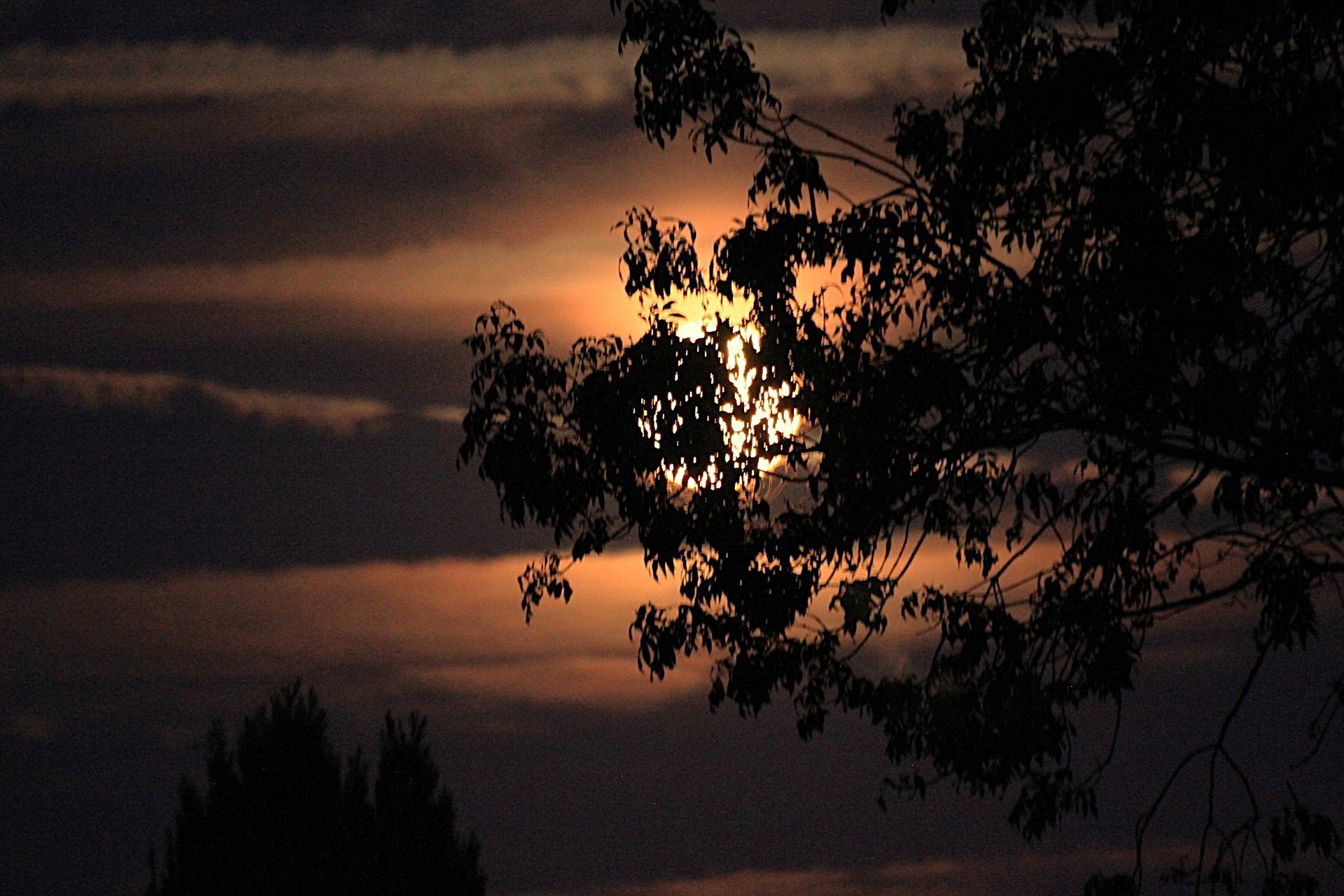 Moonrise, over Brittany, France