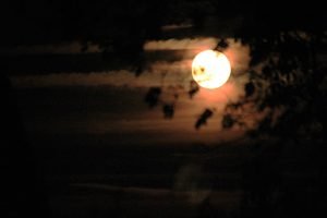Moonrise, Morbihan, Brittany.